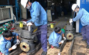 Thay thế vòng bi đầu nén máy nén khí Thay thế vòng bi đầu nén máy nén khí